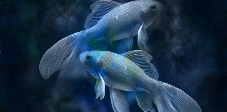 Casino and gambling horoscope for Pisces