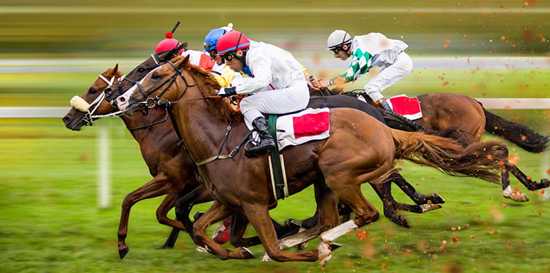 Horse racing betting in Meadows in Pennsylvania