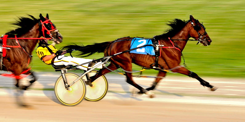 Meadows Casino in Pennsylvania offers horse racing